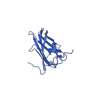 13345_7pe2_BC_v1-1
Cryo-EM structure of BMV-derived VLP expressed in E. coli (eVLP)