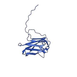13345_7pe2_BD_v1-1
Cryo-EM structure of BMV-derived VLP expressed in E. coli (eVLP)