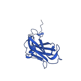 13345_7pe2_CA_v1-1
Cryo-EM structure of BMV-derived VLP expressed in E. coli (eVLP)