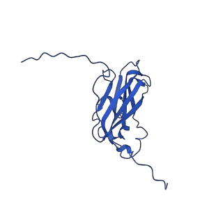 13345_7pe2_CB_v1-1
Cryo-EM structure of BMV-derived VLP expressed in E. coli (eVLP)