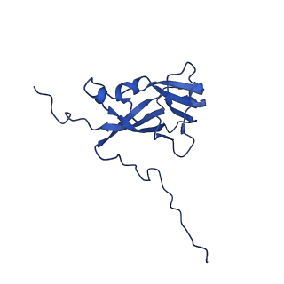 13345_7pe2_CC_v1-1
Cryo-EM structure of BMV-derived VLP expressed in E. coli (eVLP)