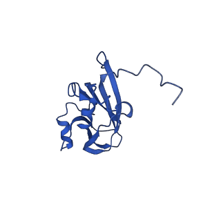 13345_7pe2_CD_v1-1
Cryo-EM structure of BMV-derived VLP expressed in E. coli (eVLP)