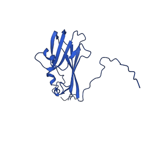 13345_7pe2_CE_v1-1
Cryo-EM structure of BMV-derived VLP expressed in E. coli (eVLP)