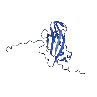 13345_7pe2_CF_v1-1
Cryo-EM structure of BMV-derived VLP expressed in E. coli (eVLP)