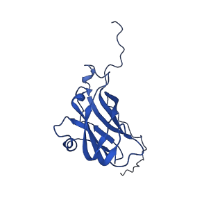 13345_7pe2_C_v1-1
Cryo-EM structure of BMV-derived VLP expressed in E. coli (eVLP)