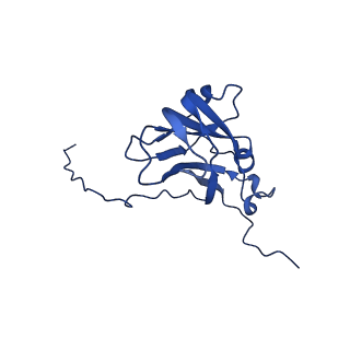 13345_7pe2_DA_v1-1
Cryo-EM structure of BMV-derived VLP expressed in E. coli (eVLP)