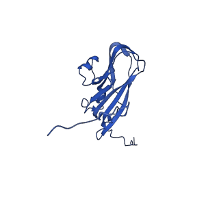 13345_7pe2_DC_v1-1
Cryo-EM structure of BMV-derived VLP expressed in E. coli (eVLP)