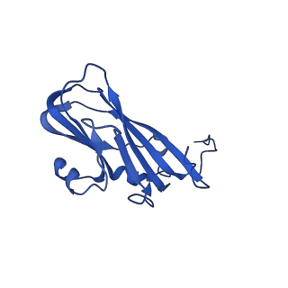 13345_7pe2_DE_v1-1
Cryo-EM structure of BMV-derived VLP expressed in E. coli (eVLP)