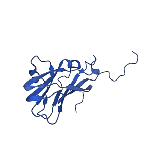 13345_7pe2_D_v1-1
Cryo-EM structure of BMV-derived VLP expressed in E. coli (eVLP)