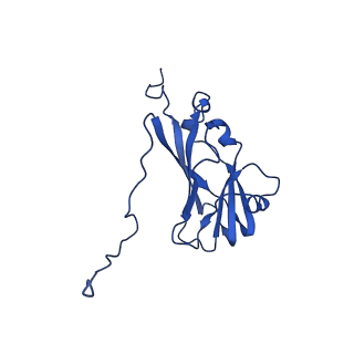 13345_7pe2_EB_v1-1
Cryo-EM structure of BMV-derived VLP expressed in E. coli (eVLP)