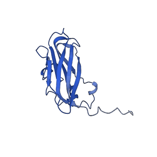 13345_7pe2_EC_v1-1
Cryo-EM structure of BMV-derived VLP expressed in E. coli (eVLP)