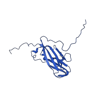 13345_7pe2_ED_v1-1
Cryo-EM structure of BMV-derived VLP expressed in E. coli (eVLP)