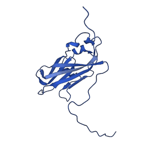 13345_7pe2_EE_v1-1
Cryo-EM structure of BMV-derived VLP expressed in E. coli (eVLP)