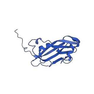 13345_7pe2_EF_v1-1
Cryo-EM structure of BMV-derived VLP expressed in E. coli (eVLP)