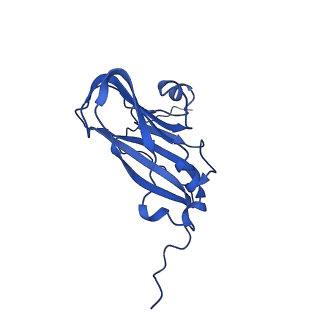 13345_7pe2_E_v1-1
Cryo-EM structure of BMV-derived VLP expressed in E. coli (eVLP)