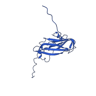 13345_7pe2_FB_v1-1
Cryo-EM structure of BMV-derived VLP expressed in E. coli (eVLP)