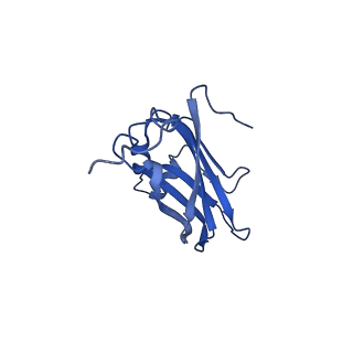 13345_7pe2_FD_v1-1
Cryo-EM structure of BMV-derived VLP expressed in E. coli (eVLP)