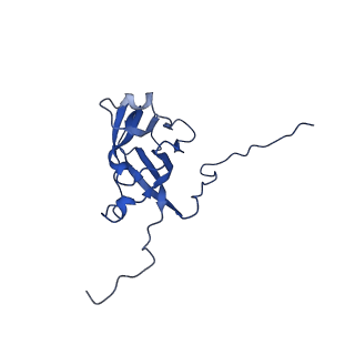 13345_7pe2_FE_v1-1
Cryo-EM structure of BMV-derived VLP expressed in E. coli (eVLP)