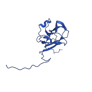 13345_7pe2_FF_v1-1
Cryo-EM structure of BMV-derived VLP expressed in E. coli (eVLP)