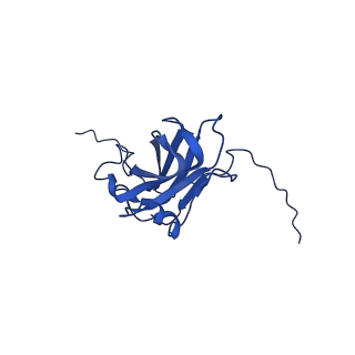 13345_7pe2_F_v1-1
Cryo-EM structure of BMV-derived VLP expressed in E. coli (eVLP)
