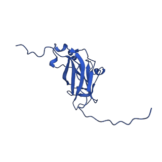 13345_7pe2_GA_v1-1
Cryo-EM structure of BMV-derived VLP expressed in E. coli (eVLP)