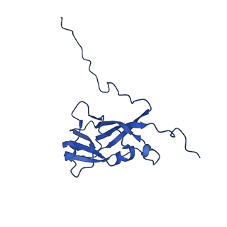 13345_7pe2_GD_v1-1
Cryo-EM structure of BMV-derived VLP expressed in E. coli (eVLP)
