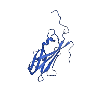 13345_7pe2_GE_v1-1
Cryo-EM structure of BMV-derived VLP expressed in E. coli (eVLP)