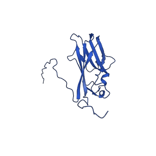 13345_7pe2_GF_v1-1
Cryo-EM structure of BMV-derived VLP expressed in E. coli (eVLP)