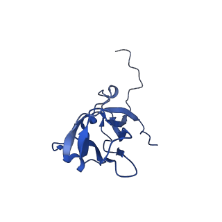 13345_7pe2_G_v1-1
Cryo-EM structure of BMV-derived VLP expressed in E. coli (eVLP)