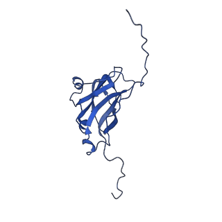 13345_7pe2_HA_v1-1
Cryo-EM structure of BMV-derived VLP expressed in E. coli (eVLP)