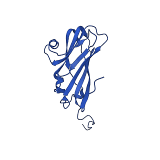 13345_7pe2_HC_v1-1
Cryo-EM structure of BMV-derived VLP expressed in E. coli (eVLP)