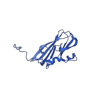 13345_7pe2_HF_v1-1
Cryo-EM structure of BMV-derived VLP expressed in E. coli (eVLP)