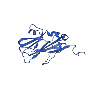 13345_7pe2_H_v1-1
Cryo-EM structure of BMV-derived VLP expressed in E. coli (eVLP)