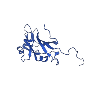 13345_7pe2_IA_v1-1
Cryo-EM structure of BMV-derived VLP expressed in E. coli (eVLP)