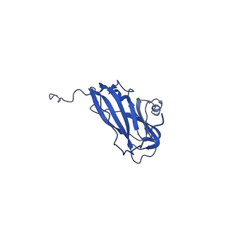 13345_7pe2_IB_v1-1
Cryo-EM structure of BMV-derived VLP expressed in E. coli (eVLP)