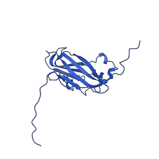 13345_7pe2_IC_v1-1
Cryo-EM structure of BMV-derived VLP expressed in E. coli (eVLP)