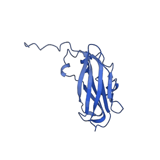13345_7pe2_ID_v1-1
Cryo-EM structure of BMV-derived VLP expressed in E. coli (eVLP)