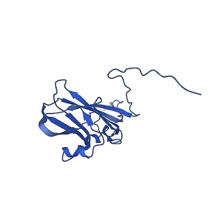 13345_7pe2_IE_v1-1
Cryo-EM structure of BMV-derived VLP expressed in E. coli (eVLP)