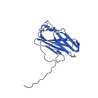 13345_7pe2_IF_v1-1
Cryo-EM structure of BMV-derived VLP expressed in E. coli (eVLP)