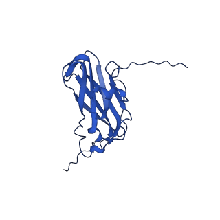 13345_7pe2_I_v1-1
Cryo-EM structure of BMV-derived VLP expressed in E. coli (eVLP)