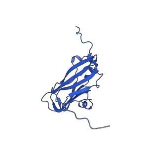 13345_7pe2_JA_v1-1
Cryo-EM structure of BMV-derived VLP expressed in E. coli (eVLP)