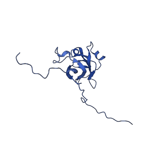 13345_7pe2_JC_v1-1
Cryo-EM structure of BMV-derived VLP expressed in E. coli (eVLP)
