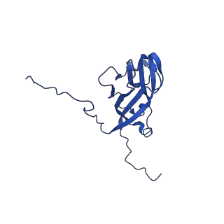 13345_7pe2_JF_v1-1
Cryo-EM structure of BMV-derived VLP expressed in E. coli (eVLP)