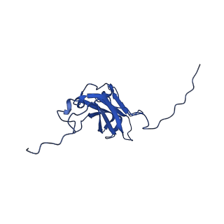 13345_7pe2_KA_v1-1
Cryo-EM structure of BMV-derived VLP expressed in E. coli (eVLP)