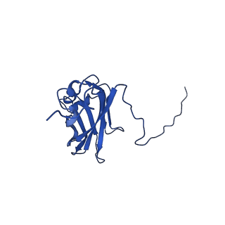 13345_7pe2_KE_v1-1
Cryo-EM structure of BMV-derived VLP expressed in E. coli (eVLP)