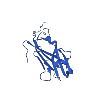 13345_7pe2_KF_v1-1
Cryo-EM structure of BMV-derived VLP expressed in E. coli (eVLP)