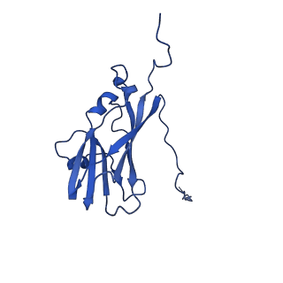 13345_7pe2_K_v1-1
Cryo-EM structure of BMV-derived VLP expressed in E. coli (eVLP)
