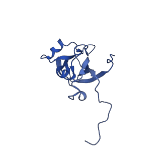 13345_7pe2_LA_v1-1
Cryo-EM structure of BMV-derived VLP expressed in E. coli (eVLP)