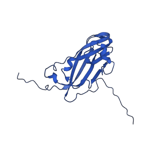 13345_7pe2_LB_v1-1
Cryo-EM structure of BMV-derived VLP expressed in E. coli (eVLP)