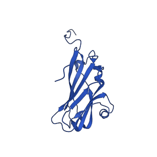13345_7pe2_LD_v1-1
Cryo-EM structure of BMV-derived VLP expressed in E. coli (eVLP)